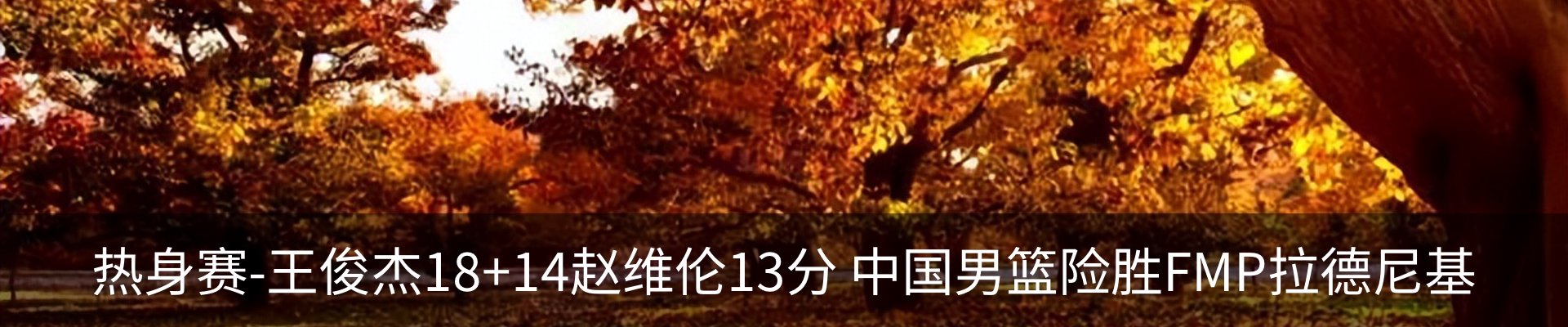 最新动态